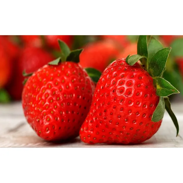 Semillas Fresa Planta Frutas Arbusto Frutos Mata Bayas Rojos
