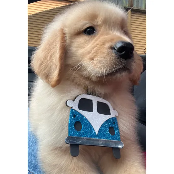 Filhotes De Golden Retriever Com Microchip E Pedigree. Dourado