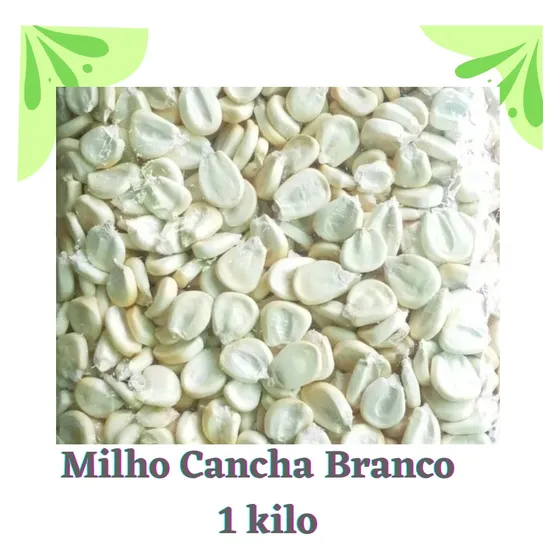 Milho Camcha Branco 1 Kilo Serve  Pra Fritar Y Semente 
