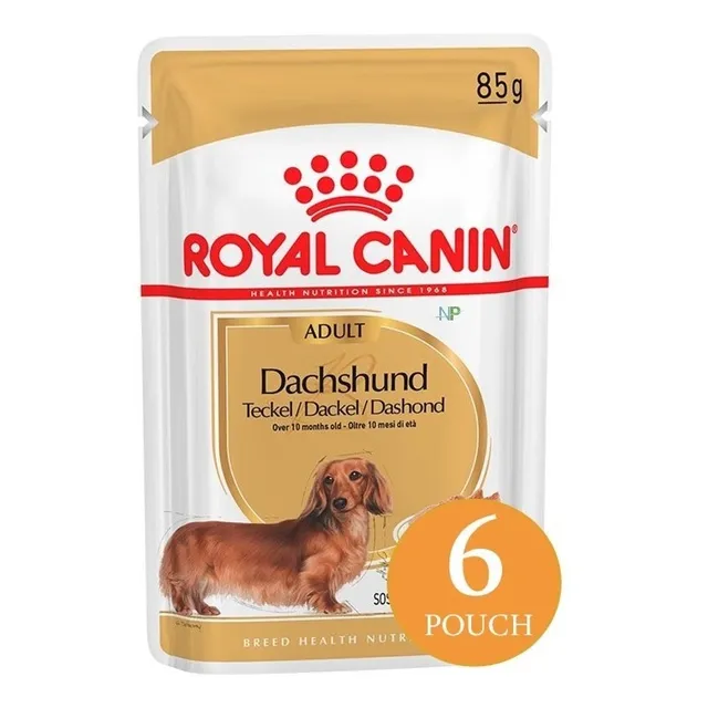 6 X Alimento Perro Royal Canin Dachshund Pouch 85gr. Np