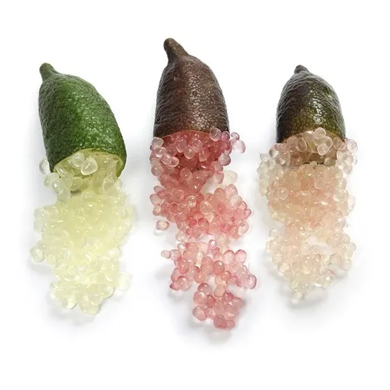 Muda De Limão Caviar Enxertada Produz Rápido