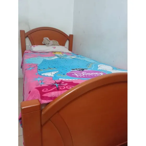 Cama Individual  Colchon Ortopedico Excelente Estado Usada