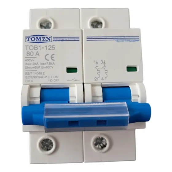 Interruptor Termomagnetico Ac Riel Din 2 Polos 80 Amp 2x80 A