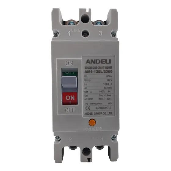 Breaker Caja Moldeada Am1-125l 2x100 Amp 