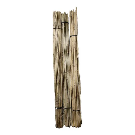 10 Cañas Tutor 1,5cm X 2,20m Sostén Tallo Plantas Tomatera