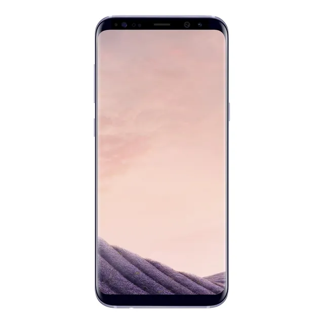 Samsung Galaxy S8+ 64 GB gris orquídea 4 GB RAM - Excelente (Reacondicionado)