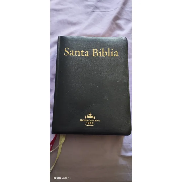 Santa Biblia Reina Valera De Letras Extra Grande