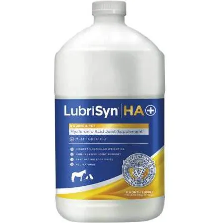 Lubrisyn Hyaluronic Acid + Msm Complemento De Inw05