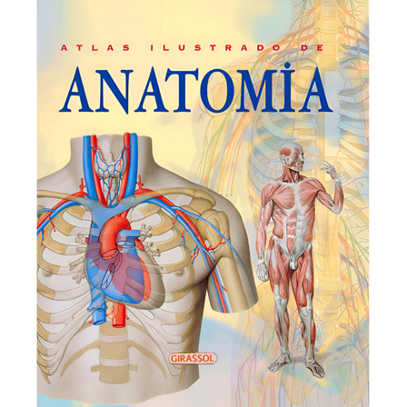 Atlas Ilustrado De Anatomia De Rigutti Adriana Editorial Girassol Brasil Edições Eireli Tapa Dura En Português 2005 Atlas Ilustrado De Anatomia De Rigutti Adriana Editorial Girassol Brasil Edições Eireli Tapa Dura En Português 2005