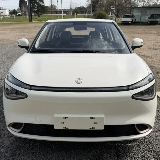 Dongfeng Nammi 2026 0.0 330 (31,4 Kwh)