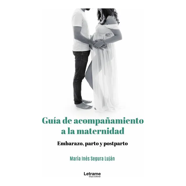 Guía De Acompañamiento A La Maternidad