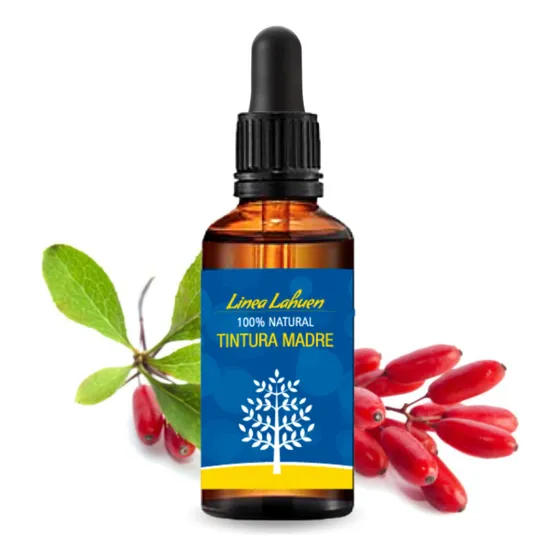 Tintura Madre Agracejo Berberis - Berberina 50ml