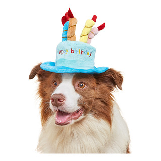 Gorro De Cumpleaños Para Mascotas, Juguetes Para Gatos Y Per Gorro De Cumpleaños Para Mascotas, Juguetes Para Gatos Y Per