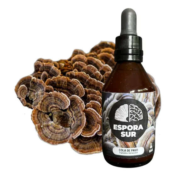 Cola De Pavo (turkey Tail) Extracto Concentrado Premium 60ml