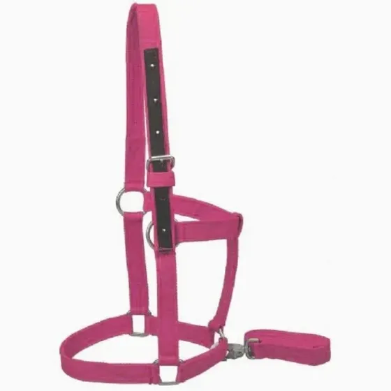 Bozal Nylon Reforzado Caballo Grande Cabestro Mosqueton