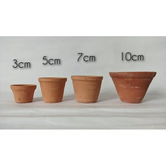 Macetas De Arcilla, Decorativas, Suculentas