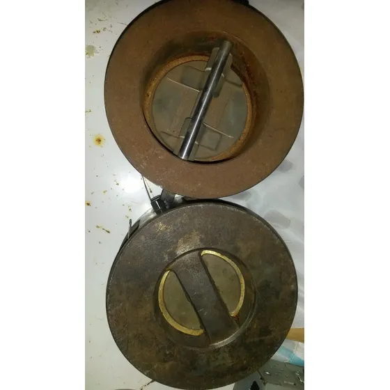 Valvula Wafer Duo Check 3 Pulgadas