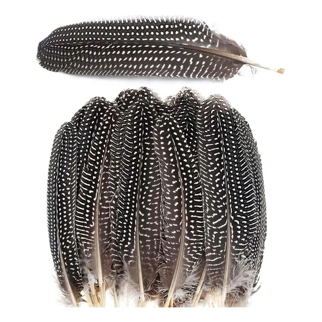20 Pluma Natural Faisan Salvaje Pavo Para Manualidad Casa