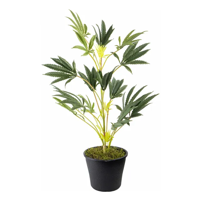 Planta Cannabis Chala Marihuana Decoración Artificial 60cm