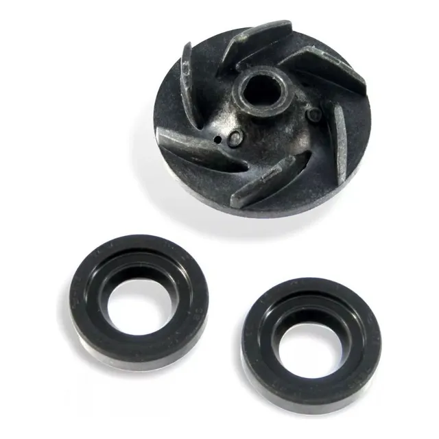 Kit Reparación Bomba Agua Pulsar 200ns -thormoto-