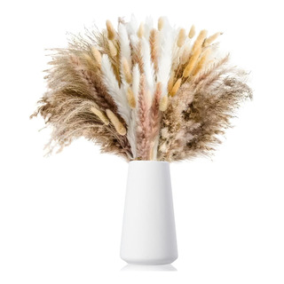 100 Hierba Pampas Secas Natural De Lagurus De Cola De Conejo 100 Hierba Pampas Secas Natural De Lagurus De Cola De Conejo