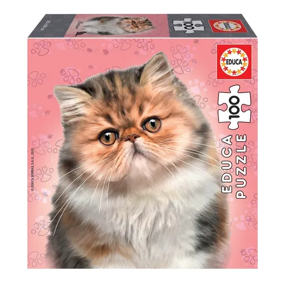 Puzzle Educa 100 Piezas Gato Persian Febo