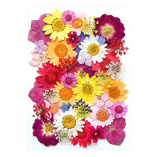 Kit De Flores Secas Y Grabadas En P Para Velas Y Manualidade Kit De Flores Secas Y Grabadas En P Para Velas Y Manualidade