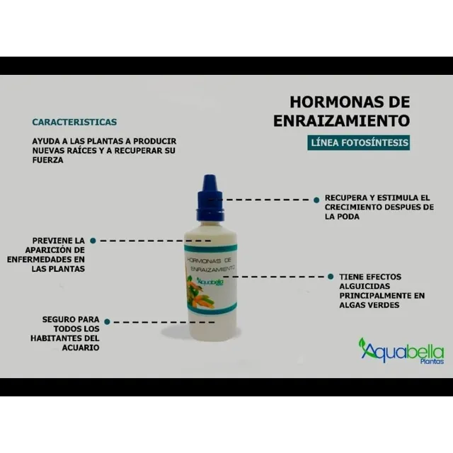 Hormonas De Enraizamiento