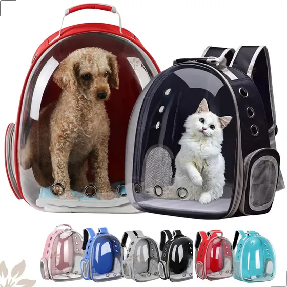 Pet confortável dentro de mochila de transporte segura