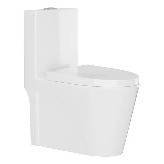 Vaso Sanitário Monobloco Caixa Acoplada Completo - Privada Cor Branco