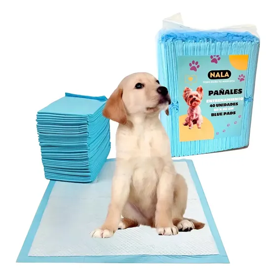 Pañales Entrenamiento Mascotas Sabanilla Absorbente X40 Unid - Blanco\u002Fceleste | Cuotas sin interés