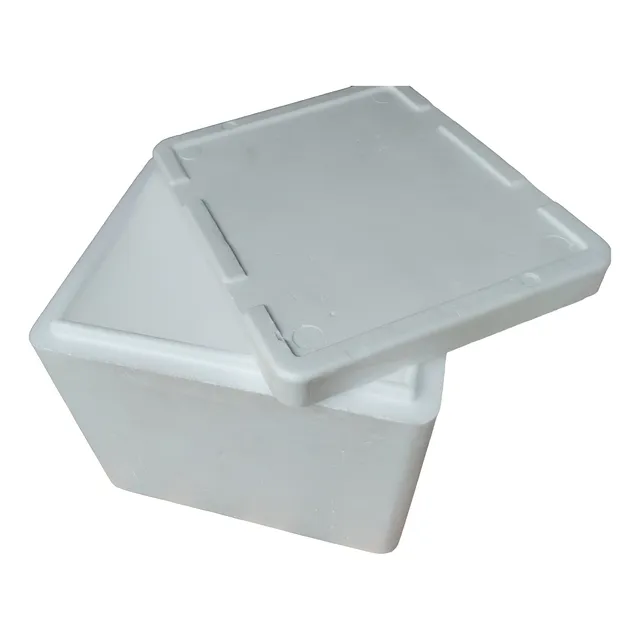 Conservadora,heladera De Espuma Plast O Tergopol Blanco