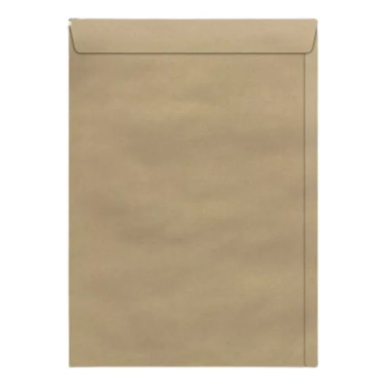 Envelope A4 Pardo Com 100 Unidades 229x324 Mm Premium