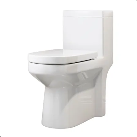 Vaso Sanitário Monobloco Privada Com Caixa Acoplada Pequeno