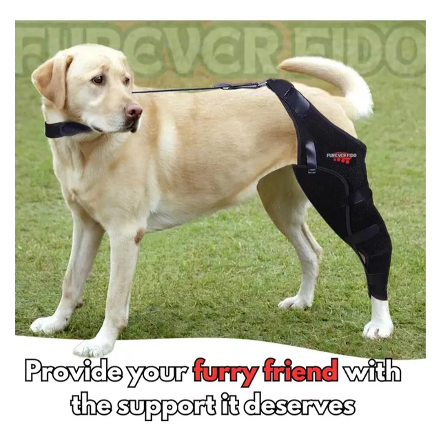 Rodillera Trasera Para Perro Luxación De Rótula. Oferta