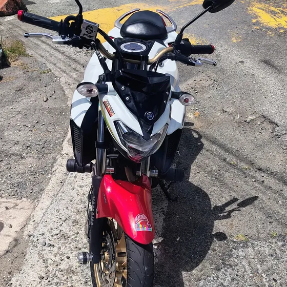 Fz 250