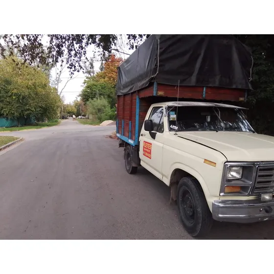 Ford F-100 3.6 Std
