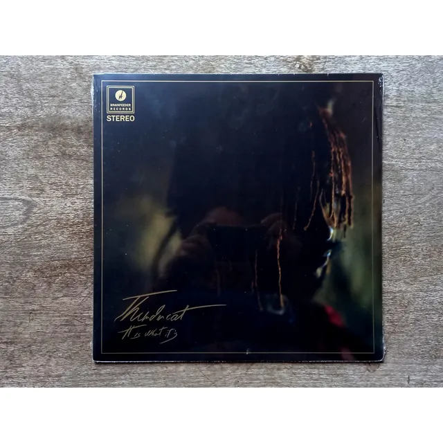 Disco Lp Thundercat - It Is What It I (2020) Eu Sellado R47