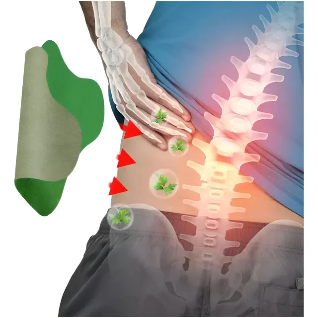 Set 40 Parches De Ajenjo Para El Dolor Cervical Y Lumbares