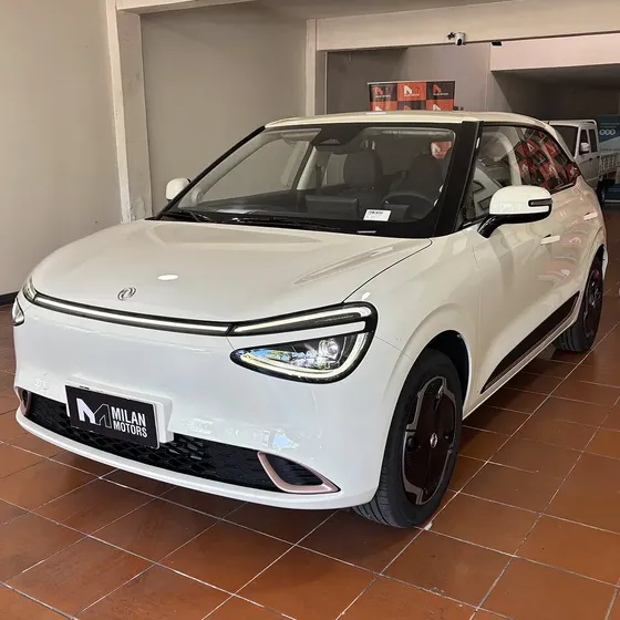 Dongfeng Nammi 2026 330 - Auto Eléctrico Carga Rápida Ccs2