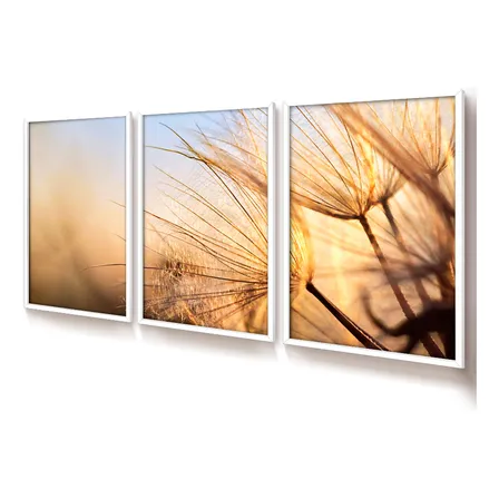 Quadro Grande Moldurado Sem Vidro 50x70 Trio Coleção Floral