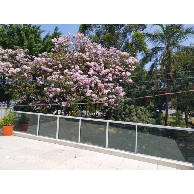 Salão De Festas Pura Alegria 