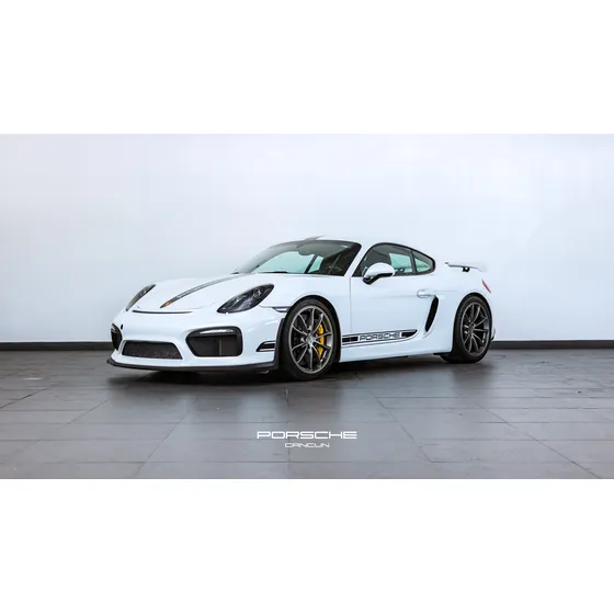 Porsche Cayman Gt4 2.0 L 718 Mt