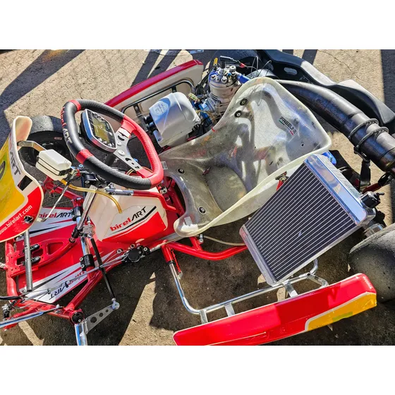 Motor Karting Iame 175 2t Completo
