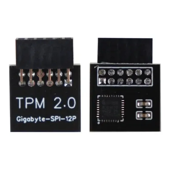 Módulo Tpm 2.0 Criptografia Segurança Spi 12 Pinos Gigabyte
