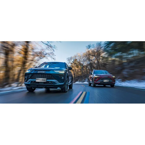 Gwm Haval H6 Gt 2.0t Elite 4x2 At
