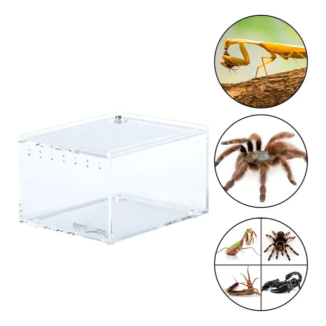 Reptizoo Nano Terrario Acrilico 8.8x10.5x6cm 5.7 L Criadero