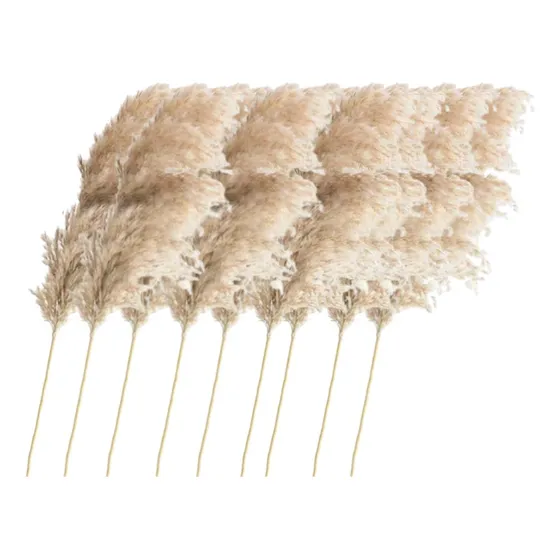 Pack X 10 Varas Pampa Grass Penacho Ramo Decorativo Color Natural