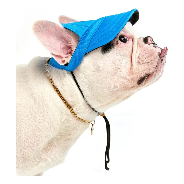 Gorra Para Mascotas Todas Las Tal - Unidad a $24900