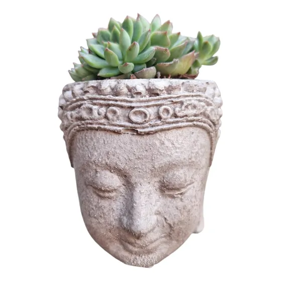 Maceta Deco Figura Buda Cabeza Interior Exterior